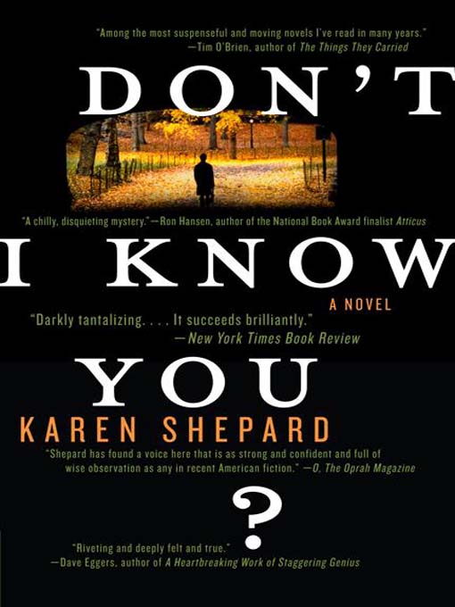 Title details for Don't I Know You? by Karen Shepard - Available